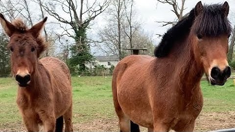 Intro contest READ DESCRIPTION FOR RULES🚨 and prizes🤩