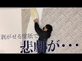 ついに引っ越しました!