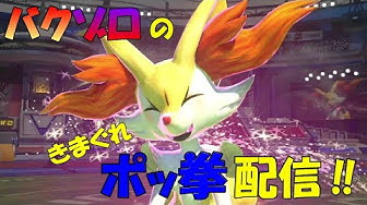 テールナー Youtube テールナー Youtube