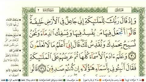 يحيى حوا سورة البقرة كاملة جودة عالية مكتوبة المصحف الملون جودة عالية