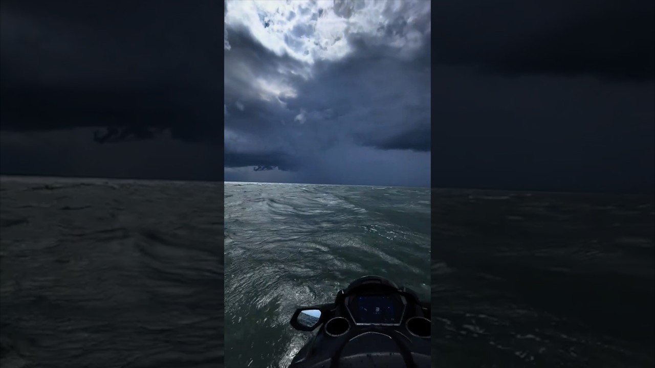 Подглядывали за карпом всю ночь