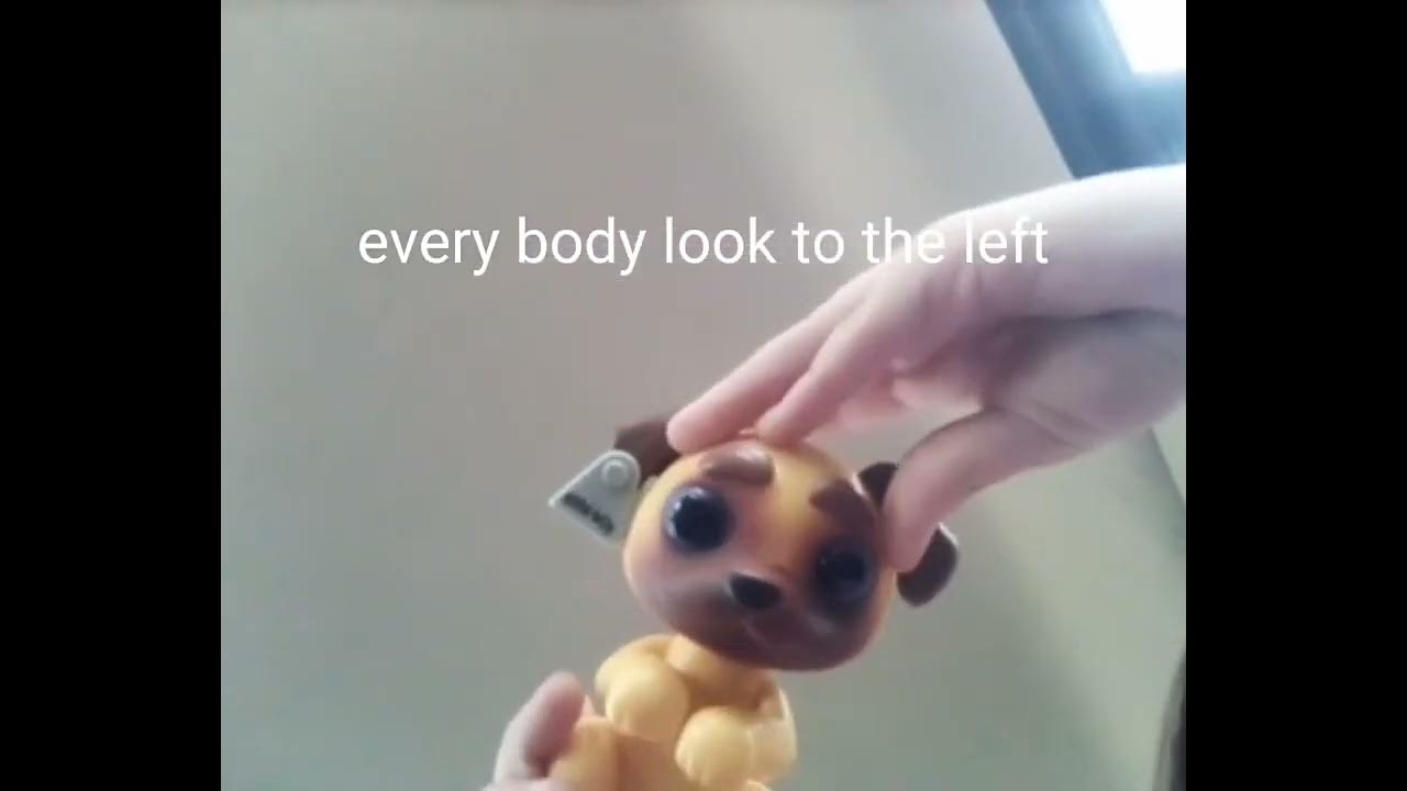 everybody look to the left song YouTube everybody look to the left song YouTube