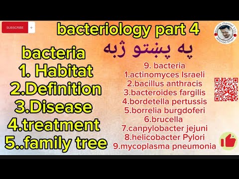 Bacteriology part 4 /bacteria /definition /habitat/disease/treatment ...