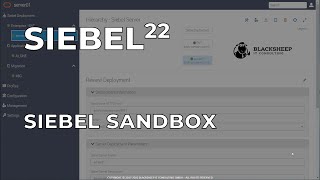 Siebel 22 Sandbox - Part 5: Install New Database