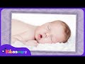 Hush Little Baby Lullaby Song for Babies