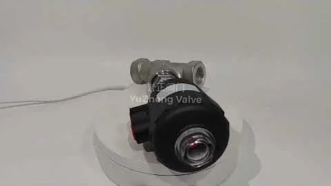 ANGLE SEAT VALVE (PA)