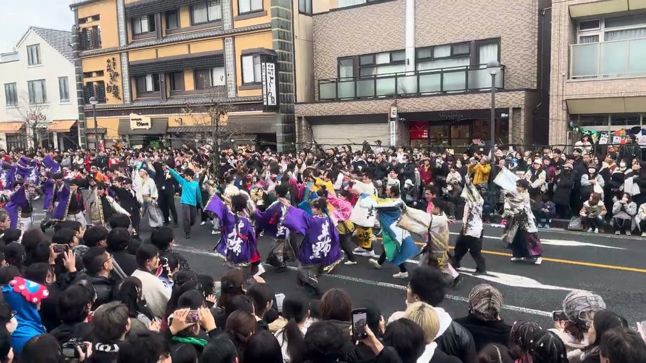 半布里仮装隊【独壇場】投げ入れ  北会場  バサカニ2025.12.14   瑞浪バサラカーニバル