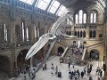 Natural History Museum, London 360