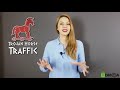 Trojan Horse Traffic Review – Does It REALLY Work? Truth Exposed