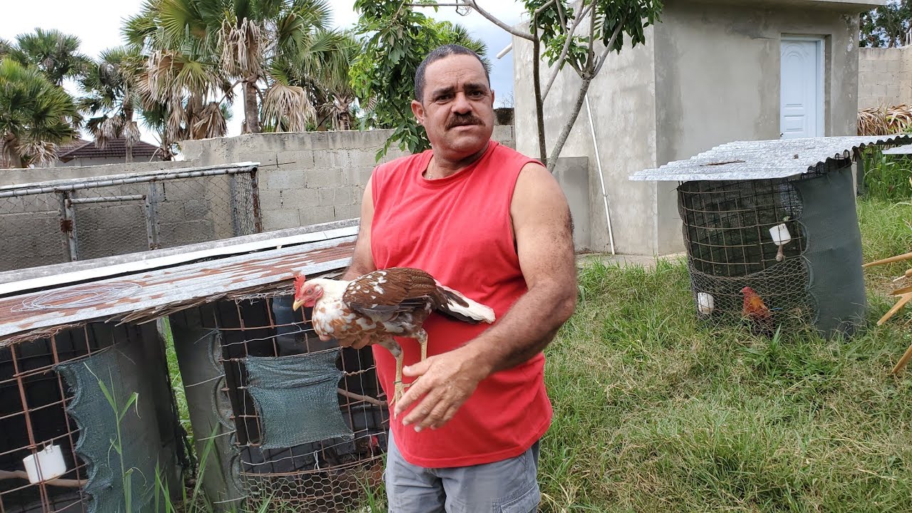 Breve recorrido donde el Sr. Bienvenido Rodriguez, en busca de un encargo de un Buen Cliente...