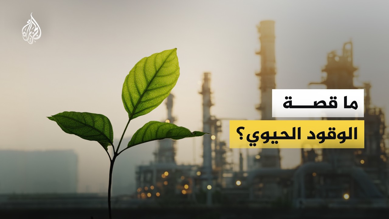 ��� ���� ���� ������.. �� ���� ����� �� -������ ������- ����� ����
 - نشر قبل 8 دقيقة