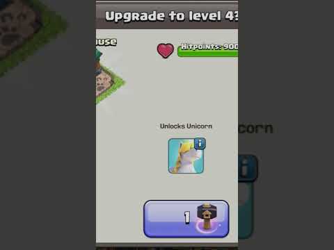 Upgrading pet house