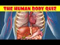 Human body quiz  how much do you know about the human body