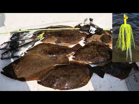 Hot Fluke (Flounder) Bite - One Lure Caught 30+ Fish and Nice Quality!