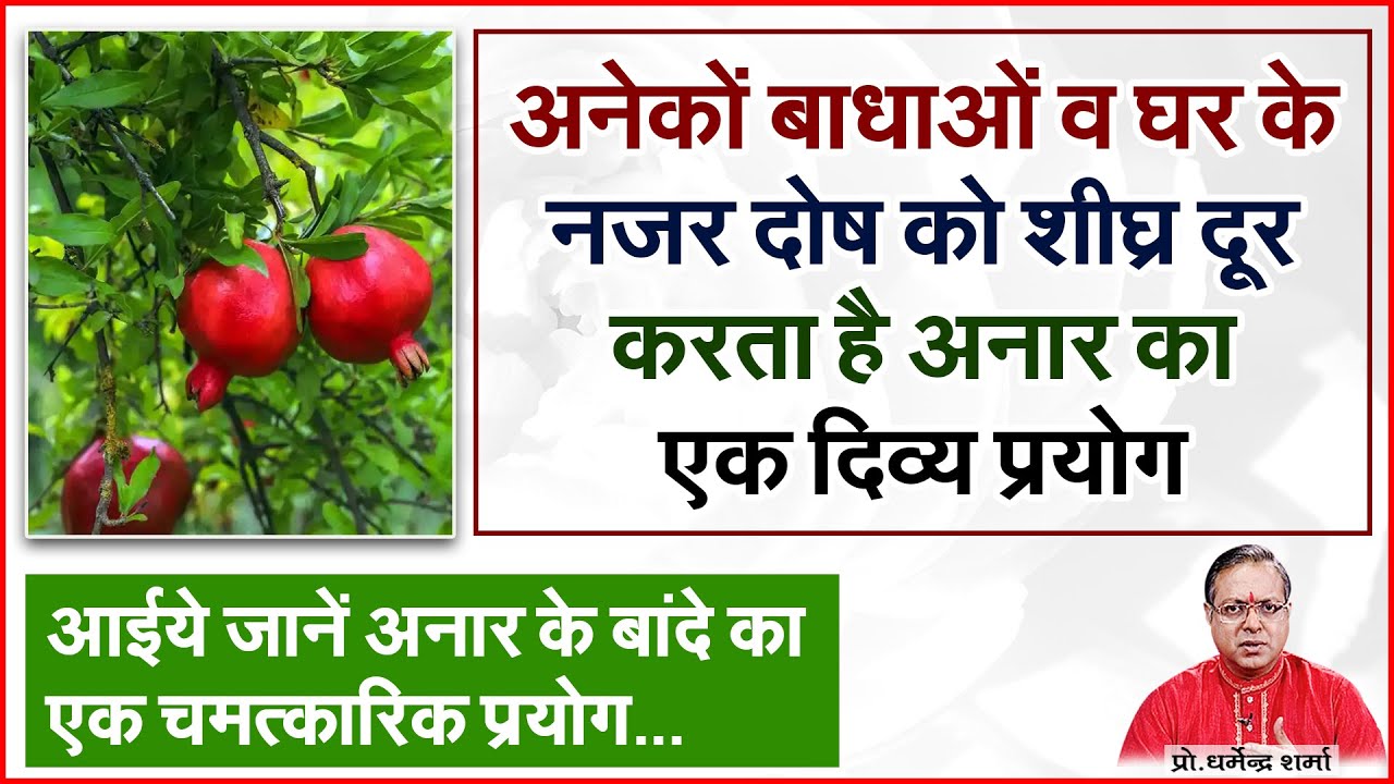 अनेकों बाधाओं व घर के नजर दोष को शीघ्र दूर करता है अनार का एक दिव्य प्रयोग | Prof. Dharmendra Sharma