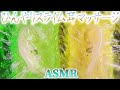 【ASMR】トロトロのドロネーバスライムをなんちゃってスクイーズwに仕立て上げお耳がひんやりと気持ち良くなるペタペタシャリシャリマッサージの音♪ネコさん来訪【音好き】DIY耳型バイノーラルマイクを使用