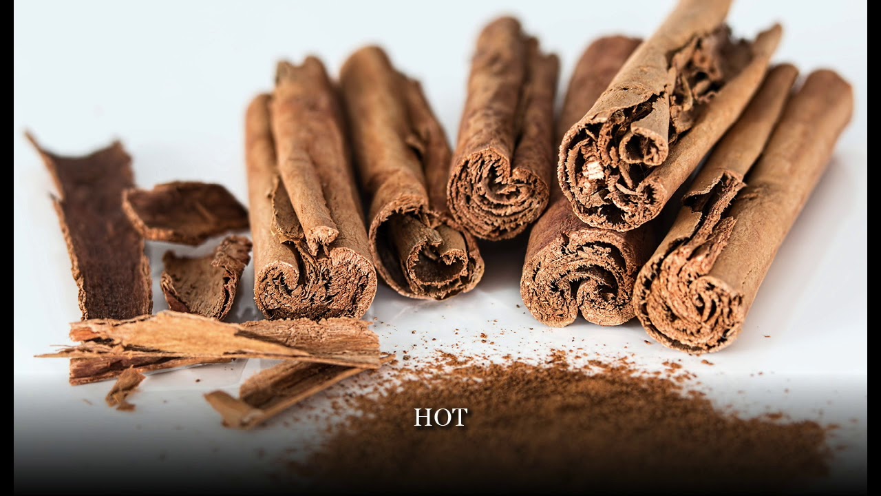 Tastes of Herbs – Basic Energetics - YouTube