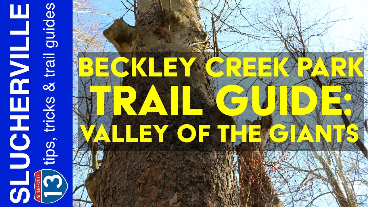 Beckley Creek Park Trail Guide Valley of the Giants YouTube