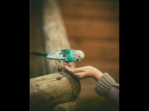 اخطر انواع الوحدة انعدام الصداقة الحقيقية