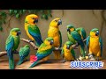 birds name and sound spelling | bird spelling learning for kids | By My kids songs#baby #birds