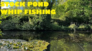 Stock Pond Whip Fishing