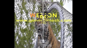 Aviary Net Zoo Structure，Zoo Enclosures ，Webnet Animal Enclosure