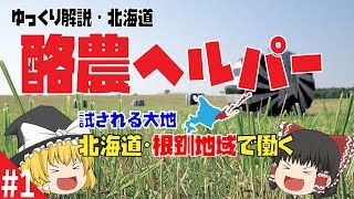 【ゆっくり解説】北海道・根釧地域で酪農ヘルパー！