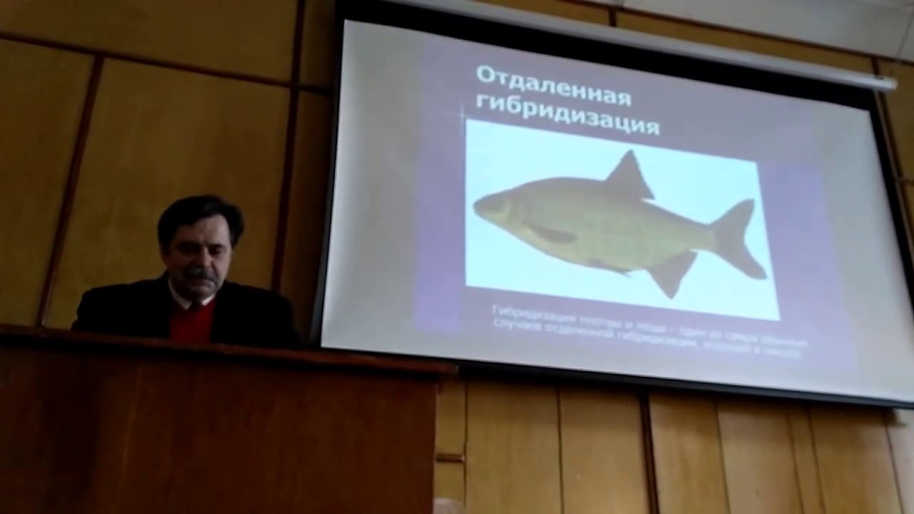 Что Такое Биологический Вид? Лекция и Обсуждение.. YouTube
