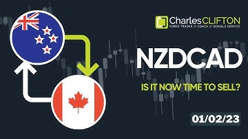 How To Find A Trending Forex Pair | NZDCAD | Currency Strength Indicator