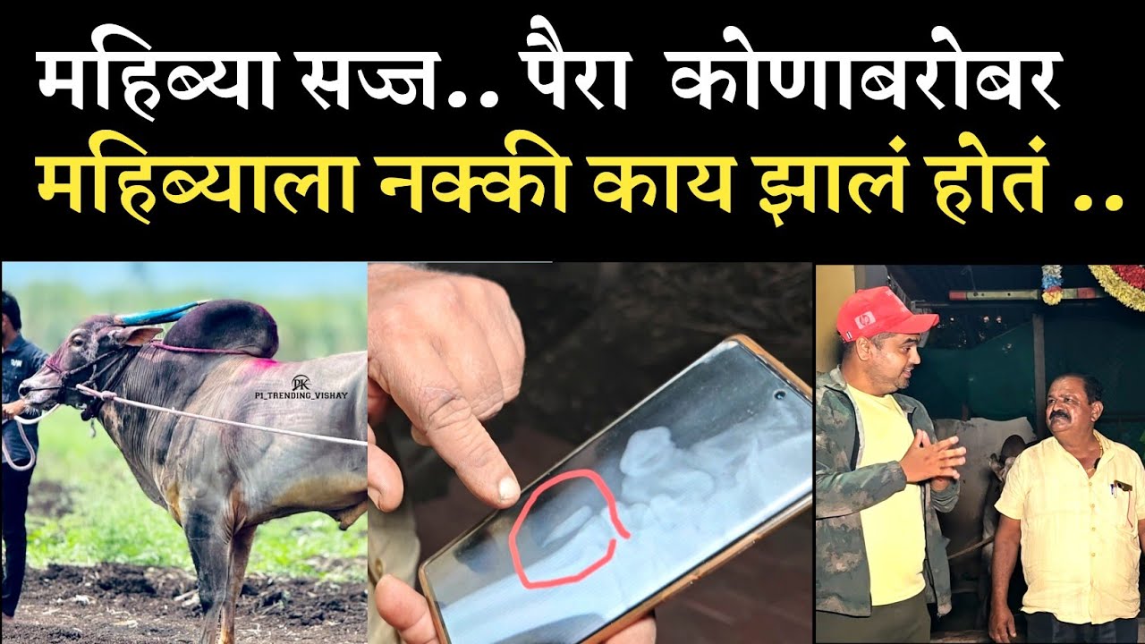 रुस्तम ए हिंदीकेसरी महिब्या मुलाखत 2025