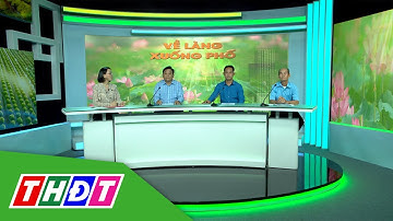 Tìm lợi nhuận bền vững cùng cây lúa | Về làng xuống phố - 21/8/2023 | THDT