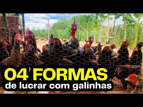 Vídeo: 4 maneiras de fazer creme