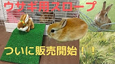 Diy うさぎ スロープ How To Make Rabbit S Slope Youtube