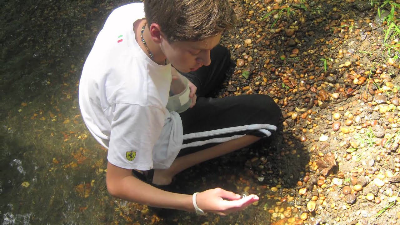 Middle School Students Animate Ancient Fossils