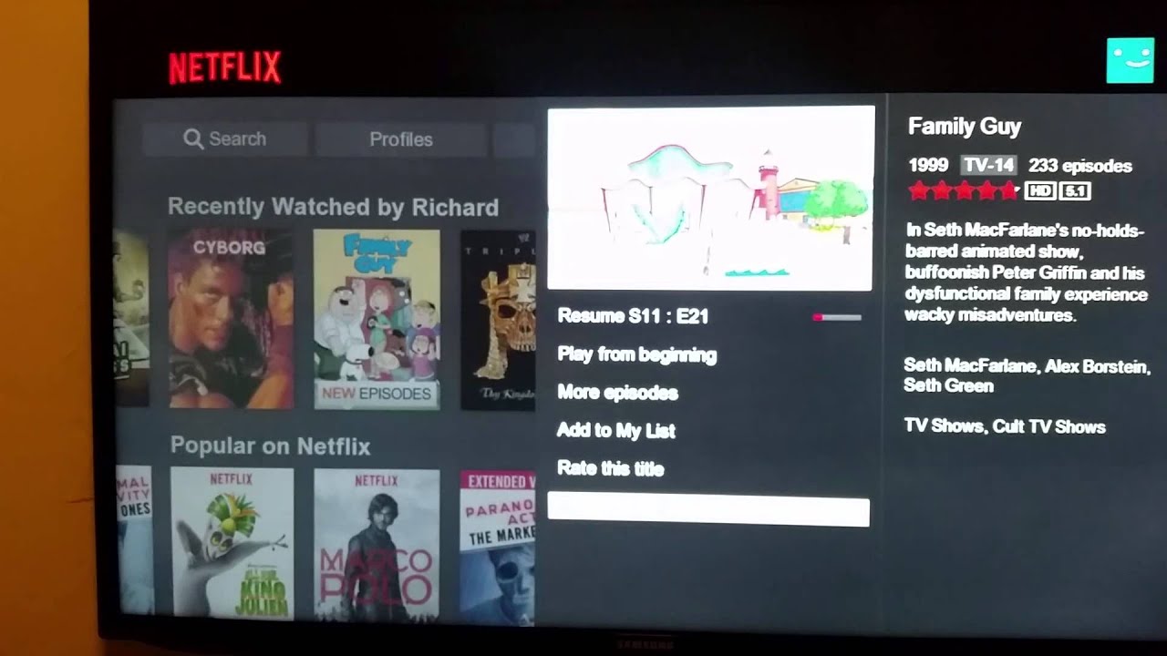 roku netflix 5.1