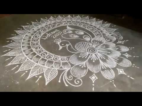 Beautiful creative rangoli designs for New year||peacock rangoli design||easy free hand rangoli Beautiful creative rangoli designs for New year||peacock rangoli design||easy free hand rangoli