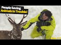 Kind and touching moments: people saving wild animals in trouble. | Wild Animal Rescue