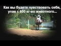 So you think equestrian is EASY / Вы думаете что конный спорт это ЛЕГКО?