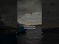 لقد تركتني ورحلت عني تركيا اسطنبول اغاني تركيا