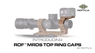 Reptilia Rof Mrds Mounts