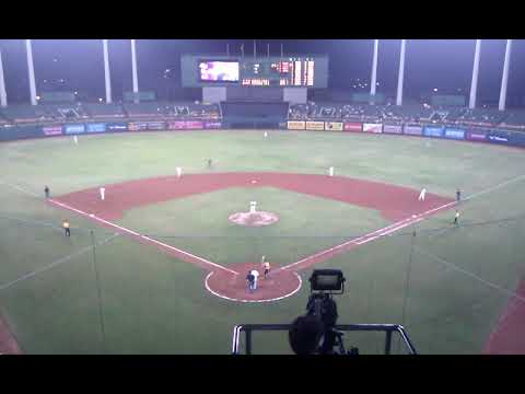 2013年義大犀牛封王-1
