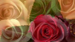 Bollywood Songs of 2000 2008 Part 1 2 Jukebox HQ