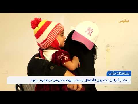 تصاعد الأوبئة وشلل الأطفال يهدد القطاع الصحي في مأرب