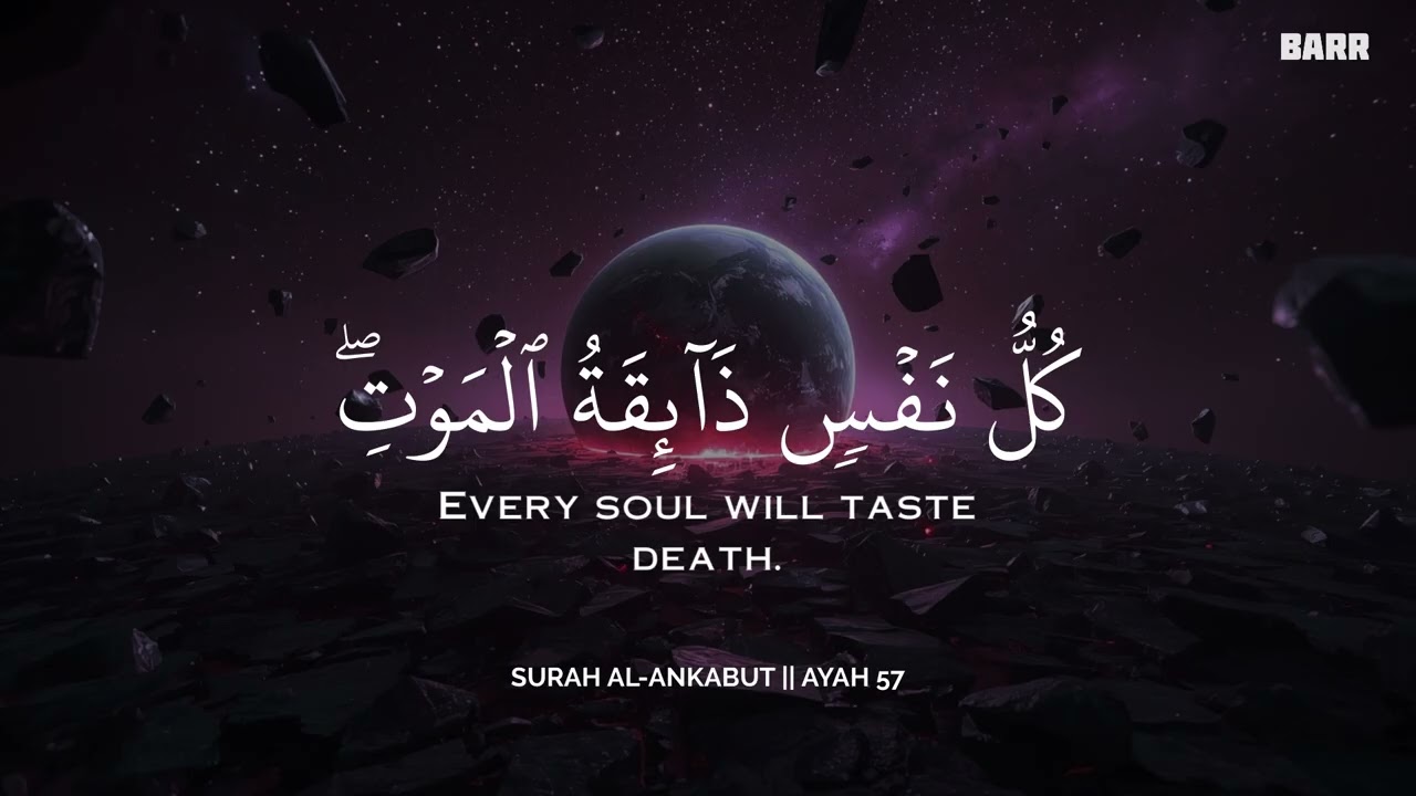 رح سمعك وقلبك بالقرآن❤️🎧 وأستمع لتلاوة هادئه بصوت محمد هشام | راحة نفسية😌 | Mohamed Hesham