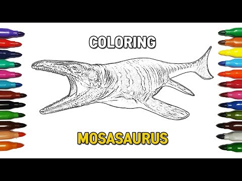 모사사우루스 공룡 색칠놀이 - Mosasaurus Dinosaur Coloring - 레오팡 / leopang