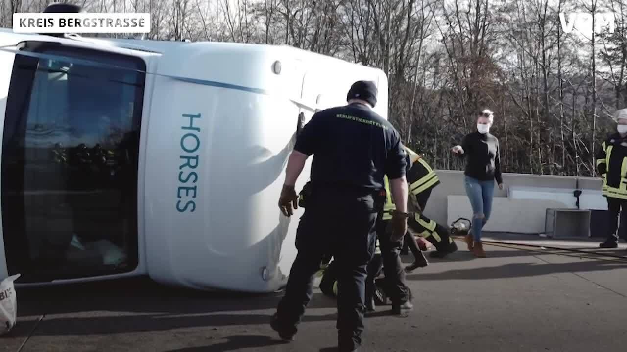 Pferdetransporter Kippt Auf A5 Bei Heppenheim Um Youtube