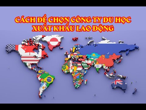 Review 8 Công Ty Xuất Khẩu Lao Động Nổi Bật tại TPHCM (Bà Rịa - Vũng Tàu, Bình Dương)
