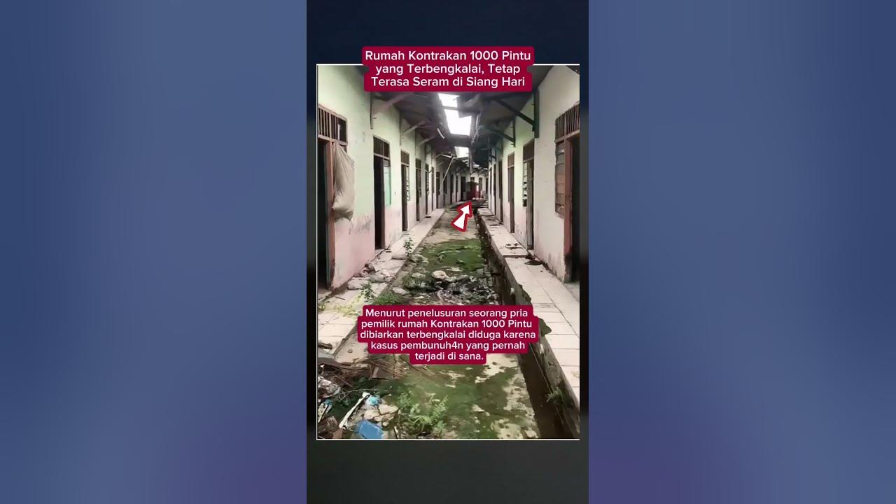 Rumah Kontrakan 1000 Pintu yang Terbengkalai, Tetap Terasa Seram di Siang Hari #rumah #viralvideo