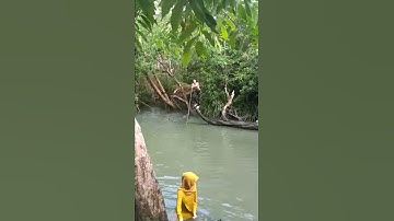 Kekonyol an mandi sungai batu dsn. S. Langan