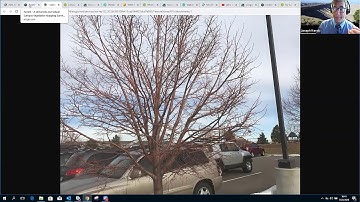 Connecting maps, storymaps, field surveys, and dashboards in the ArcGIS Platform, Part 2